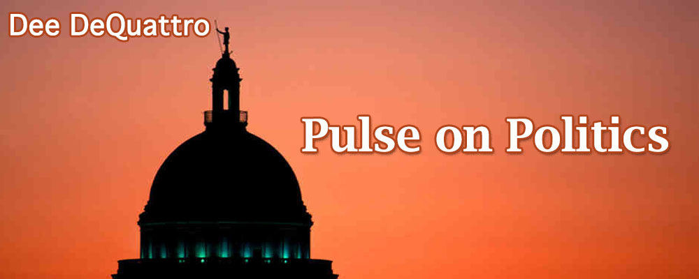Pulse on Politics